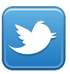 Tweet Icon